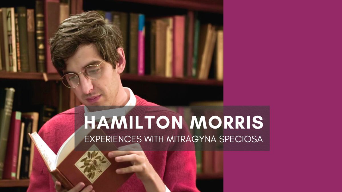 Hamilton Morris and Kratom I Love Kratom Forum